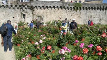 Vannes côté jardin