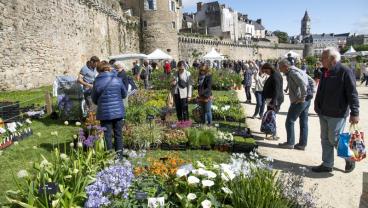 Vannes côté jardin