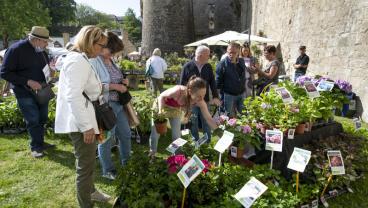 Vannes côté jardin