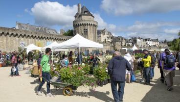 Vannes côté jardin
